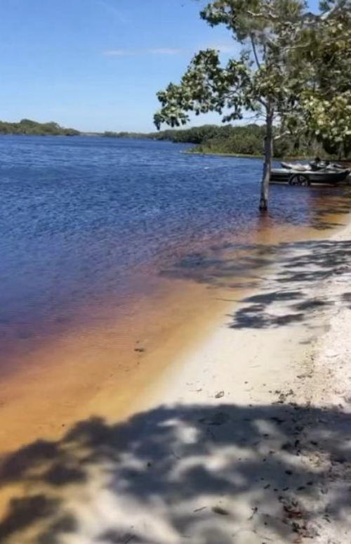 Lagoa Guanandy — área arborizada